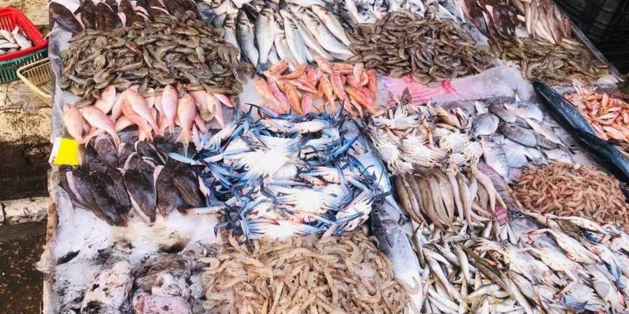 أسعار الأسماك والمأكولات البحرية اليوم 28 نوفمبر 2025 في أسواق الدقهلية