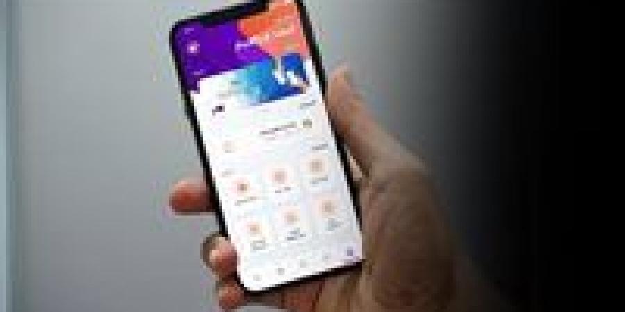 رسميًا.. حدود السحب من تطبيق إنستا باي بعد قرار البنك المركزي الأخير