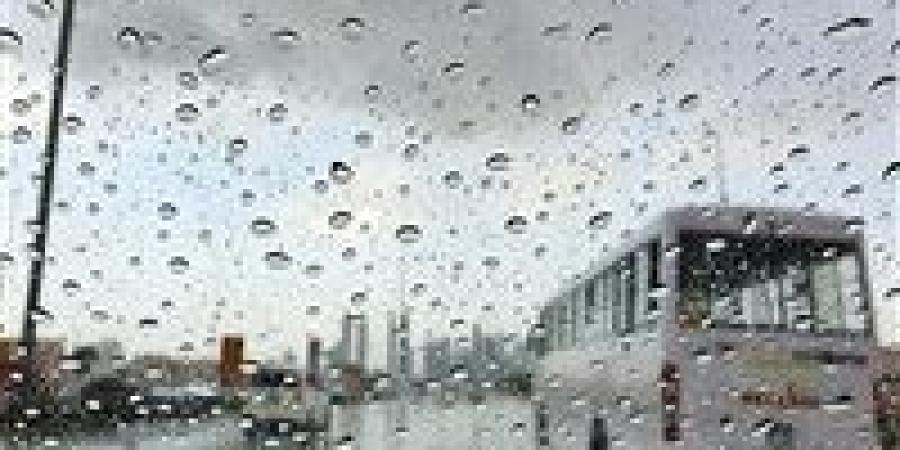 نوة قاسم تضرب الإسكندرية.. أمطار رعدية وأمواج تعلو لـ3أمتار خلال الساعات المقبلة