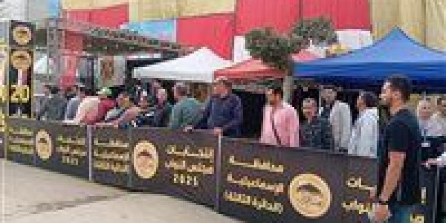 58 مقعدًا ينتظرون الحسم.. تحيا مصر يرصد تفاصيل انتخابات الدوائر الملغاة بحكم الإدارية العليا