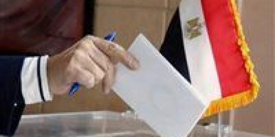 السفارة المصرية في طهران تفتح أبوابها لاستقبال الناخبين في انتخابات الدوائر المُلغاة لمجلس النواب 2025