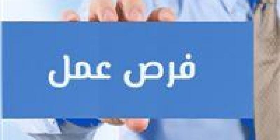 فرص عمل بالجيزة برواتب تصل لـ15 ألف جنيه.. وظائف متنوعة وتقديم للشباب