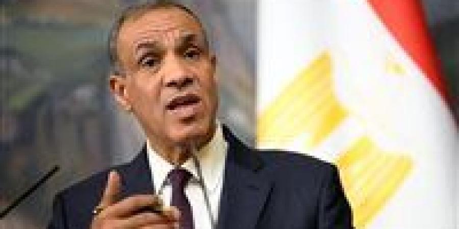 وزير الخارجية: يجب تنفيذ المرحلة الثانية من خطة ترامب بشأن غزة