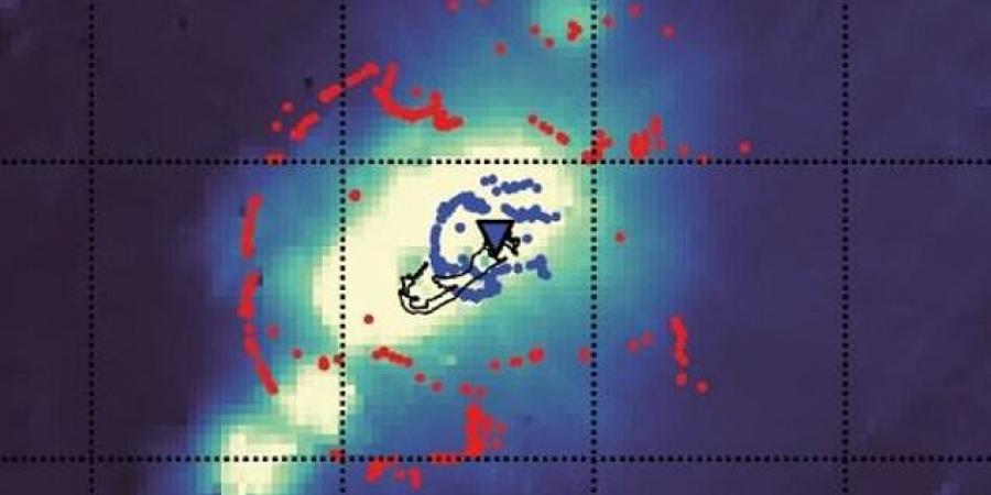 لغز جديد.. هيكل عملاق أسفل برمودا لا مثيل له على الأرض يثير حيرة العلماء