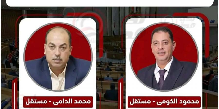 رسميا.. إعادة على مقعد الدلنجات بالبحيرة