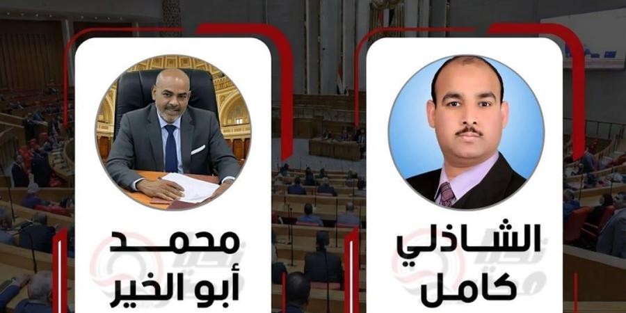 رسميا.. جولة إعادة في دائرة "إدفو" بأسوان بين "أبو الخير" و"كامل"