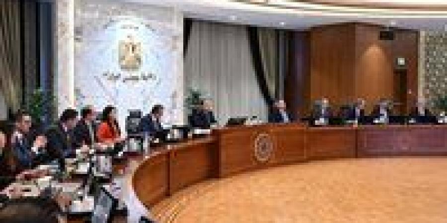 مجلس الوزراء: فى 2014 كنا دولة شبه حطام وحاليا احنا على أرضية ثابتة