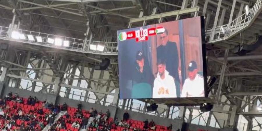 زين الدين زيدان يخطف الأضواء في مباراة الجزائر والسودان في كأس أمم أفريقيا.. وتفاعل جماهيري كبير