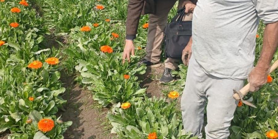 محافظ الفيوم: نهو 969 مشروعاً ضمن المرحلة الأولى من المبادرة الرئاسية "حياة كريمة" بمركزي إطسا ويوسف الصديق