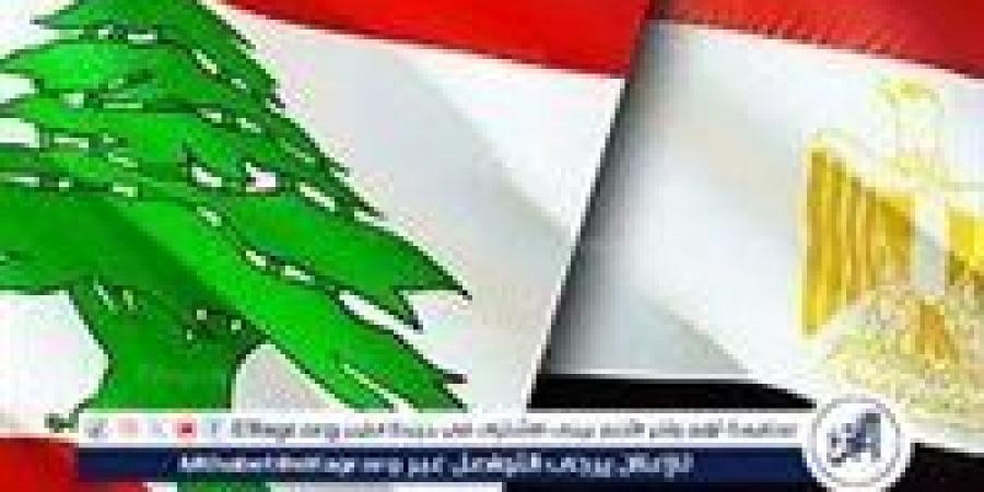 برلماني لبناني سابق: مصر حققت استقرارًا اقتصاديًا نتمنى أن تصل إليه بيروت