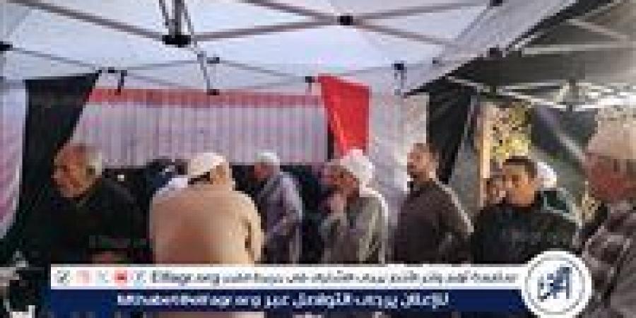 إعادة الـ19 دائرة.. إغلاق لجان الاقتراع بسفارات مصر في نيوزيلندا وأستراليا وكوريا واليابان