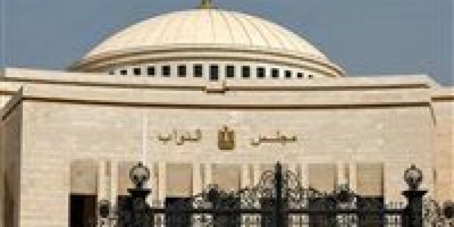 العام الأخير من عمر الفصل التشريعي الثاني.. تحيا مصر يرصد حصاد البرلمان في 2025