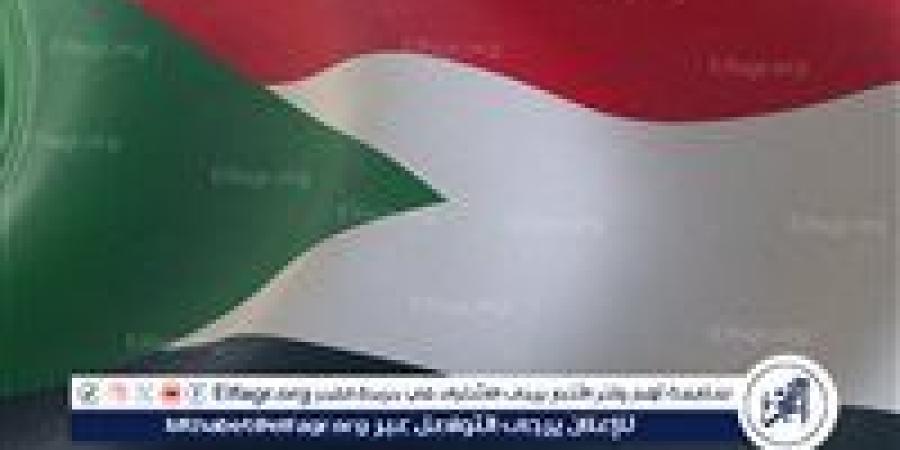 مسؤول سوداني: الحرب في البلاد صراع على الموارد ورغبة في تغيير ديمغرافيتها