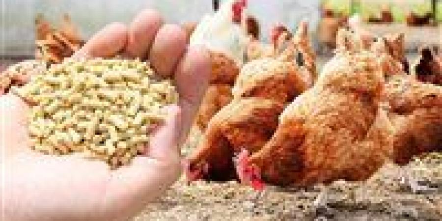 أسعار الأعلاف في أسواق محافظة أسوان اليوم الجمعة 26 ديسمبر 2025.