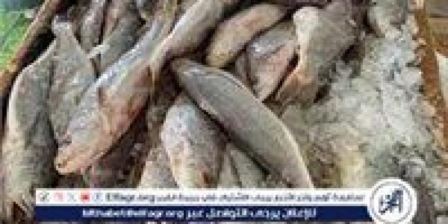 أسواق الأسماك بمحافظة أسوان، اليوم الجمعة 26 ديسمبر 2025