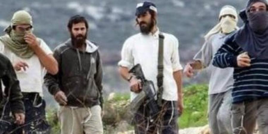 إصابة طفل ومسن في اعتداء للمستوطنين شرق بيت لحم بفلسطين