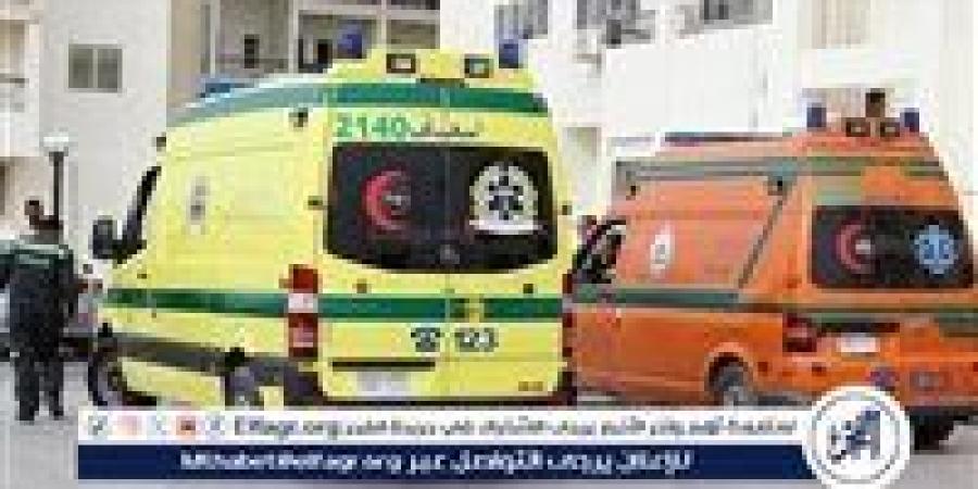 ننشر أسماء 14 مصابا في حادث مروري بالمنيا الجديدة