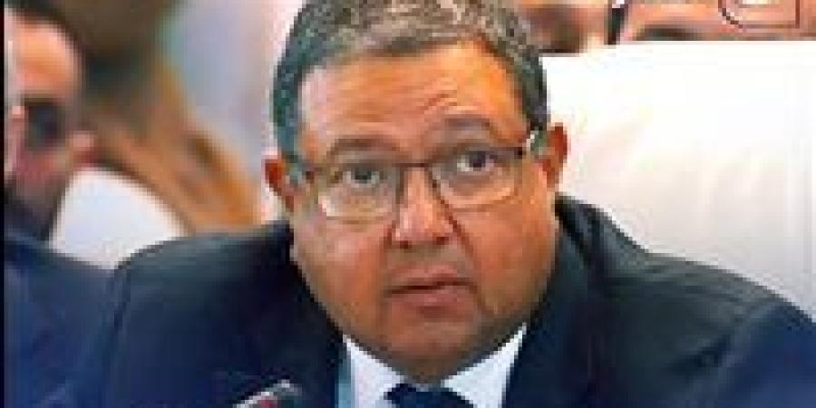 زياد بهاء الدين يكشف حلول لعلاج ملف الديون في مصر