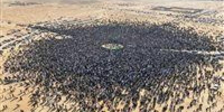 "فزتَ وأنت ميت".. الساعدي القذافي يصف جنازة سيف الإسلام بـ "الاستفتاء التاريخي"