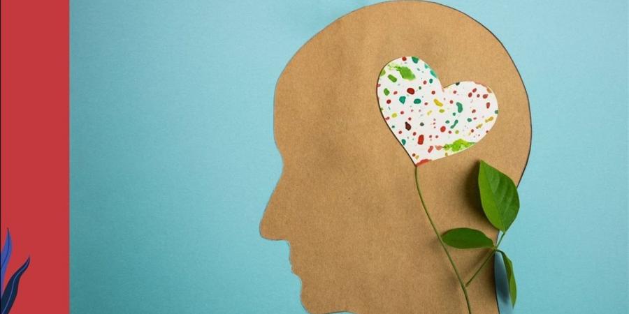 كيف تؤثر العلاقات الاجتماعية على الصحة النفسية والاستقرار العاطفي؟