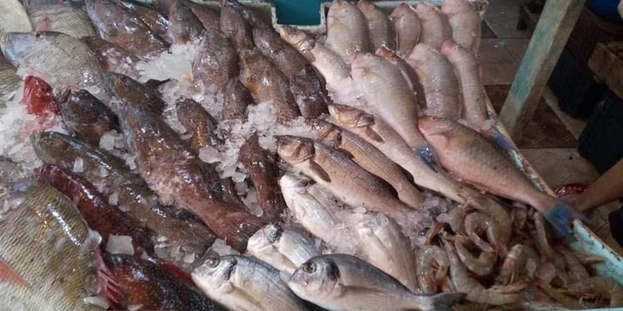 أسعار الأسماك والمأكولات البحرية في الغربية اليوم الأحد 8 فبراير 2026