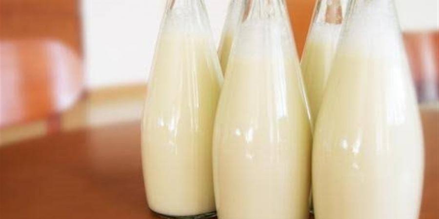 أسعار الألبان ومشتقاتها بالغربية اليوم الأحد 8 فبراير 2026