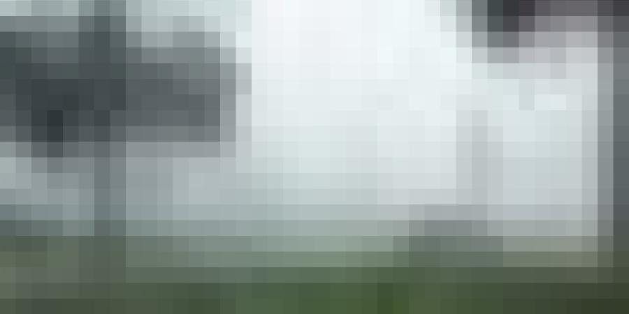 نشرية خاصة: تواصل تساقط الأمطار على هذه الولايات