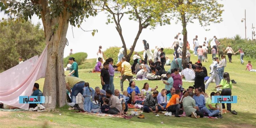 ما هو سبب الاحتفال بعيد شم النسيم 2026؟