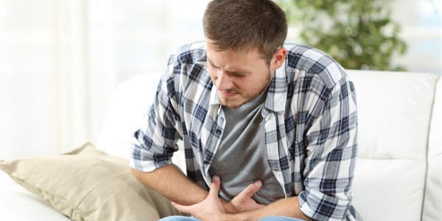 متحدث الطب البيطري: القانون المصري يعتبر التسبب في التسمم الغذائي جريمة مكتملة الأركان