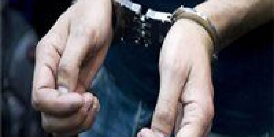 مشاجرة بين طليقين أثناء تنفيذ حكم رؤية طفل بالقاهرة