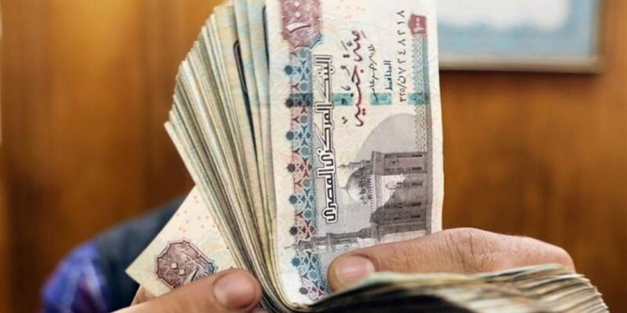 خبير: قرار زيادة الأجور يعتبر شبكة أمان اجتماعي للحفاظ على الاستقرار (خاص)