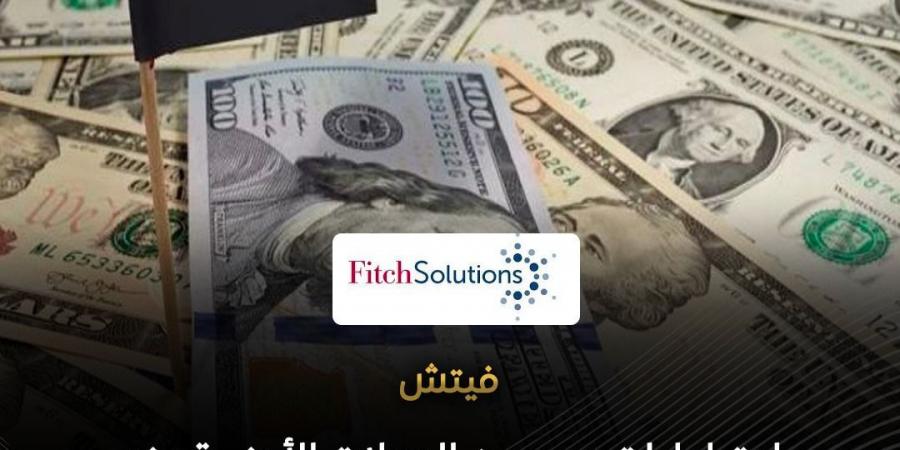 فيتش: احتياطيات قوية ومرونة سعر الصرف تدعمان قدرة الاقتصاد المصري على امتصاص الصدمات
