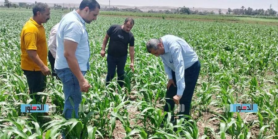 مديرية الزراعة بالجيزة تعلن العمل من المنزل أيام الأحد خلال أبريل 2026