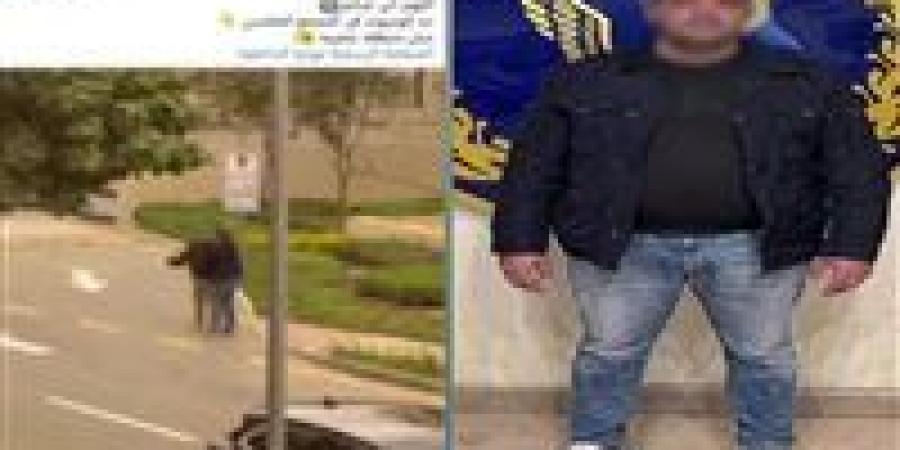 هيبة القانون خط أحمر.. حيثيات حبش المتهم بالاعتداء على فرد أمن كمبوند التجمع