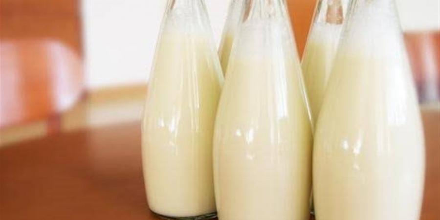 أسعار الألبان والجبن اليوم في أسواق الدقهلية