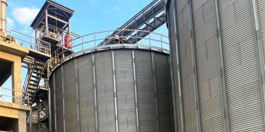 إشادة مزارعي القليوبية بزيادة سعر توريد القمح إلى 2500 جنيه للأردب