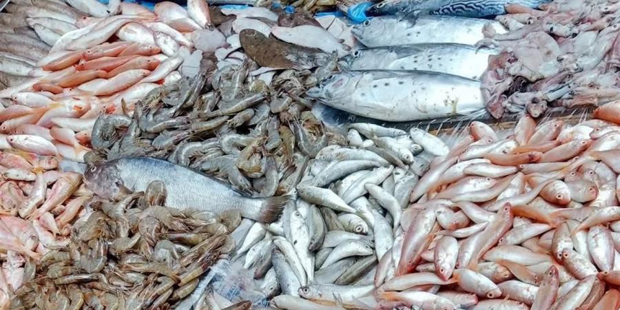 أسعار الأسماك والمأكولات البحرية بأسواق الإسكندرية اليوم السبت 4 أبريل