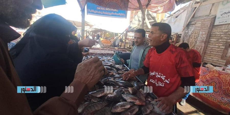 محافظ كفرالشيخ يطلق مبادرة "معًا ضد الغلاء" لبيع الأسماك بأسعار مخفضة