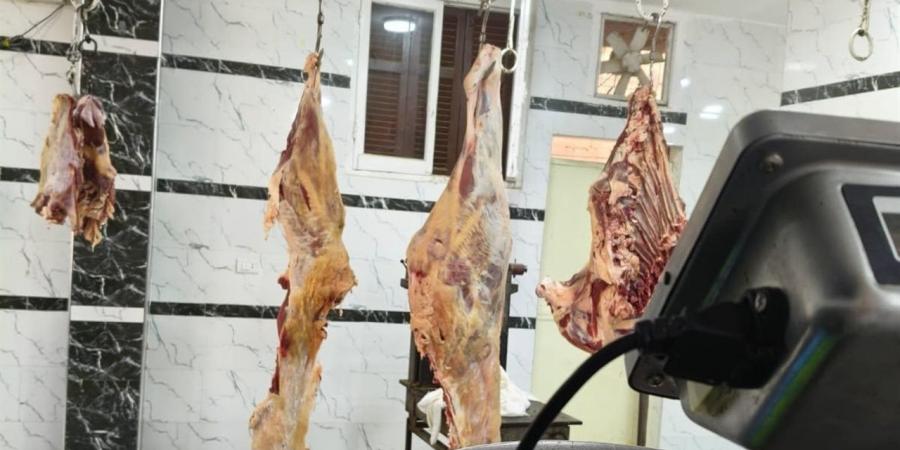 ضبط سلخانة غير مرخصة في الغربية