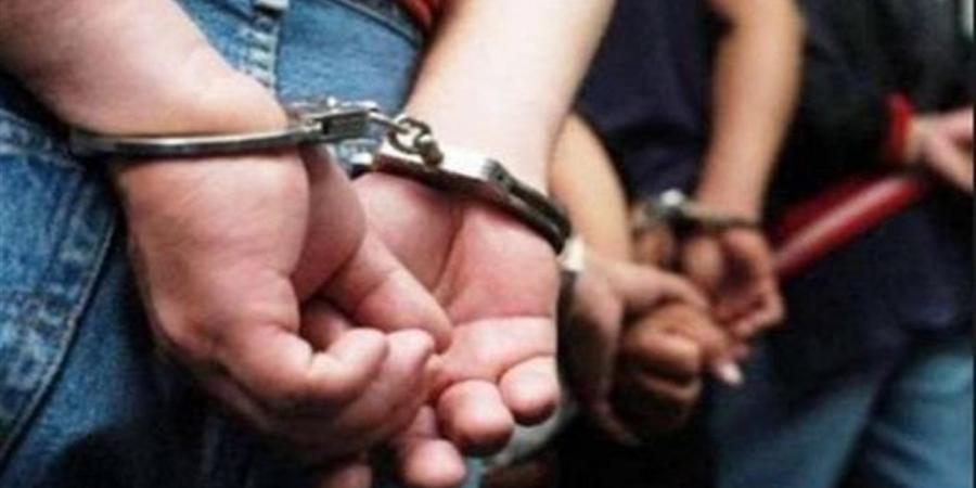 حبس مواطن بزفتي بعد نشر فيديو يتضمن سبًا وقذفًا لنائبة برلمانية