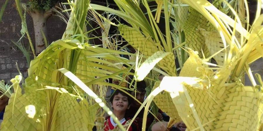 لماذا يحمل الأقباط سعف النخيل اليوم؟.. القصة الكاملة لـ أحد الشعانين