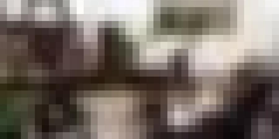 مجلس الوزراء: الجزائر ستتسلم أزيد من 110 مليون دولار من الأموال المنهوبة