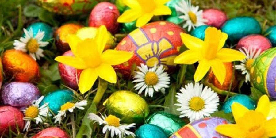 موعد إجازة شم النسيم 2026 في مصر وجدول الإجازات الرسمية