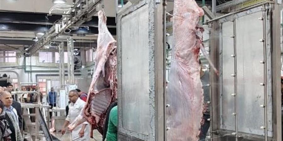 وزيرة التنمية المحلية والبيئة تعلن التشغيل التجريبي لمجزر فاقوس بالشرقية