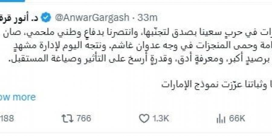 قرقاش: الإمارات انتصرت في الحرب وتتجه للتعامل مع مشهد إقليمي معقد