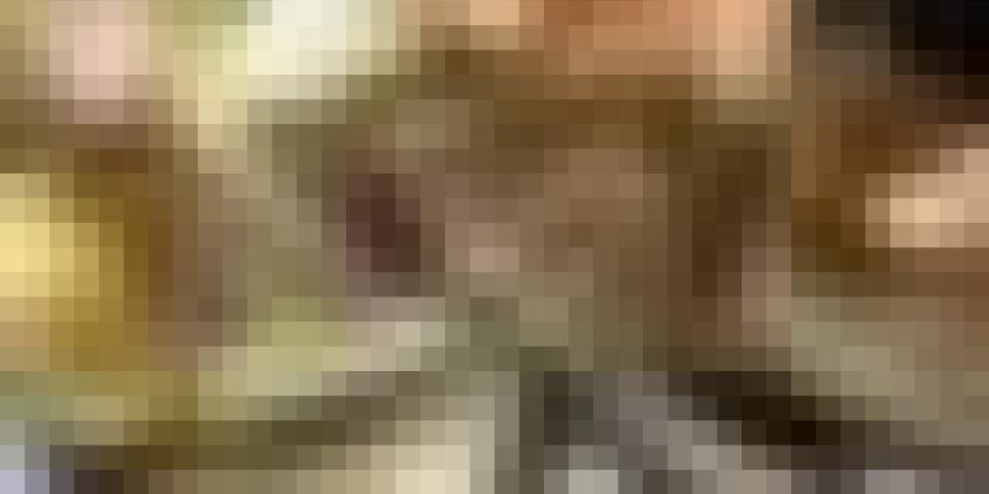 إحباط محاولة تهريب 209 كلغ من المخدرات في بني عباس