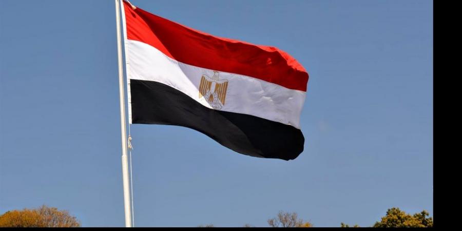 مصر: جهودنا متواصلة مع باكستان وتركيا لتعزيز الأمن والاستقرار في المنطقة