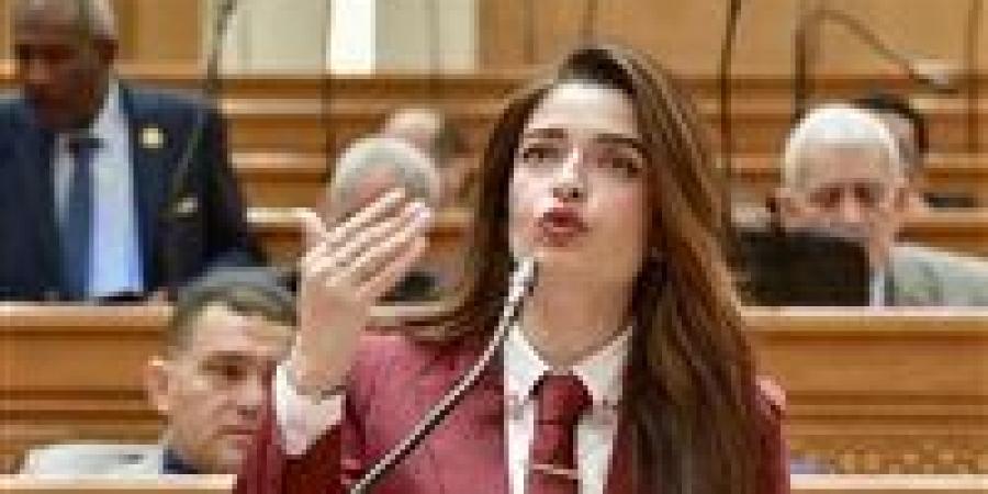 النائبة إيرين سعيد: فتح حسابات تبرعات لعلاج الأمراض النادرة غير مقبول ويهدد دور الدولة