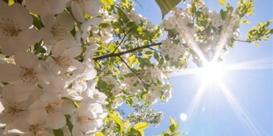 متى إجازة شم النسيم 2026 في مصر؟