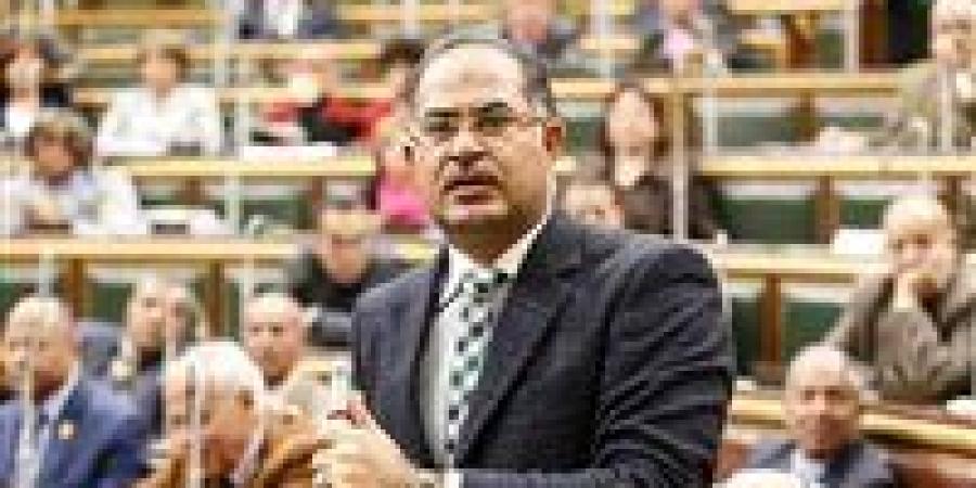 رئيس برلمانية الجبهة الوطنية بالنواب تحذر من إنترنت الدروس الخصوصية وتحويل التعليم لسلعة